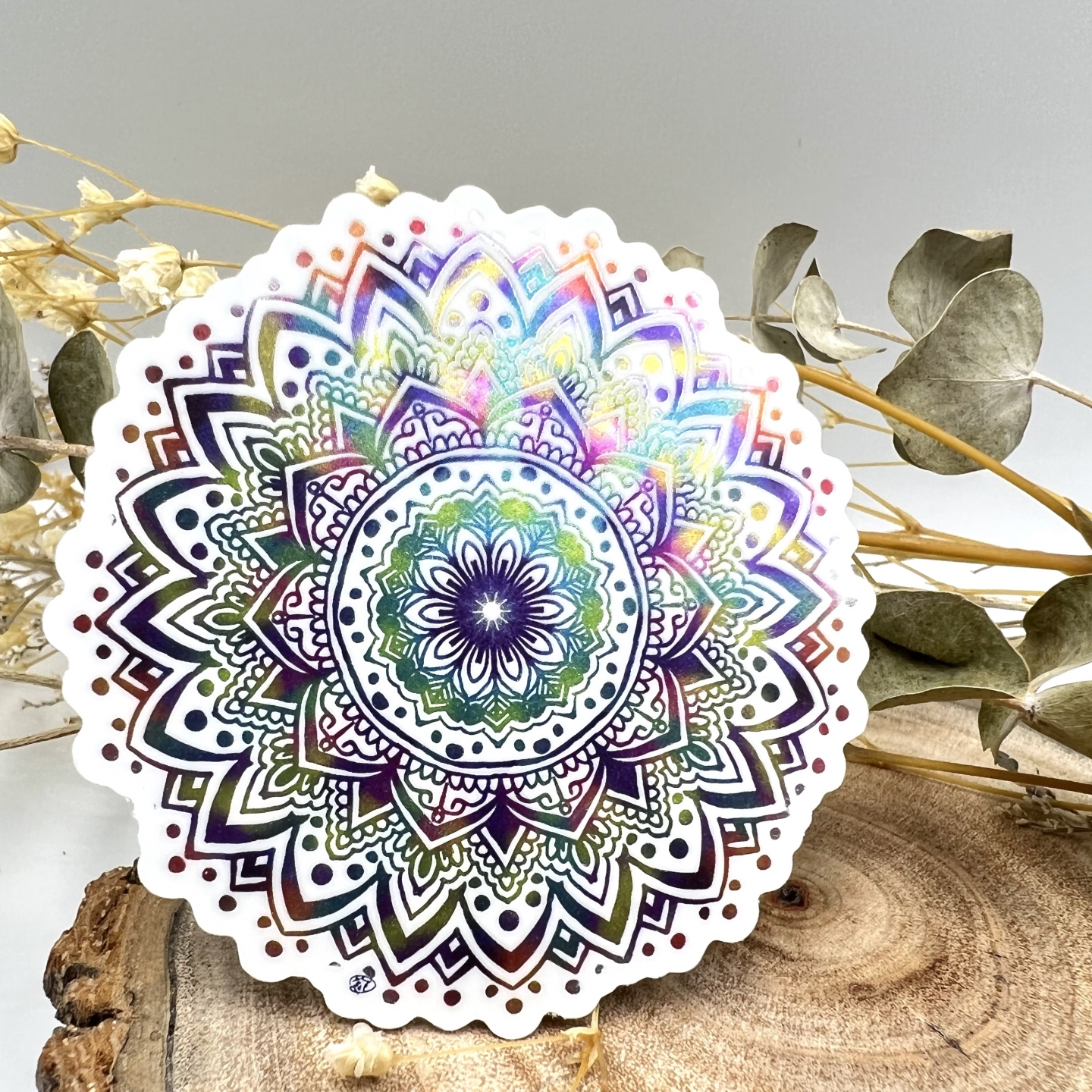 曼陀羅 将作社X CaesarWorks 1/100 曼陀罗-Mandala